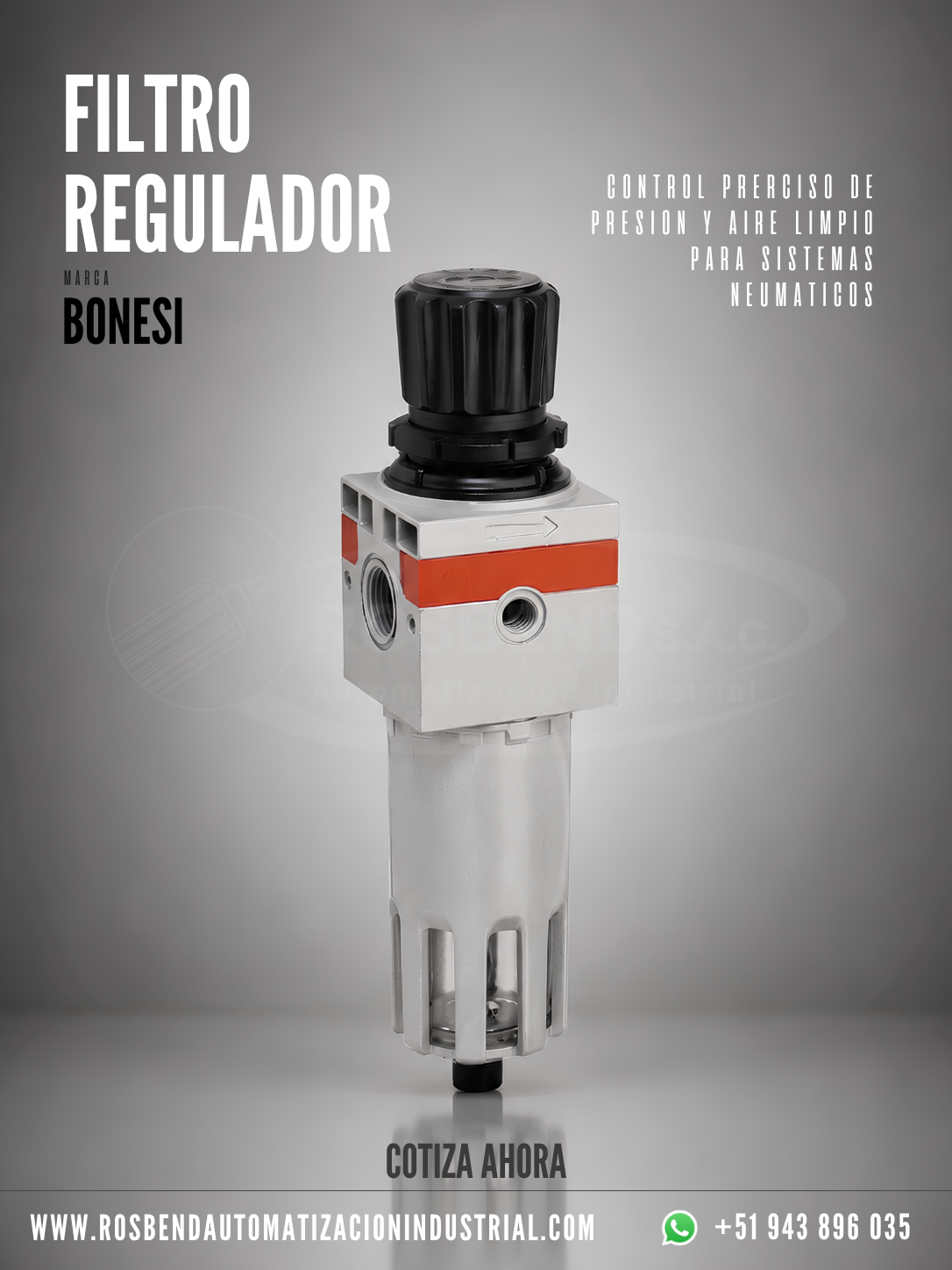 Filtro Regulador Bonesi