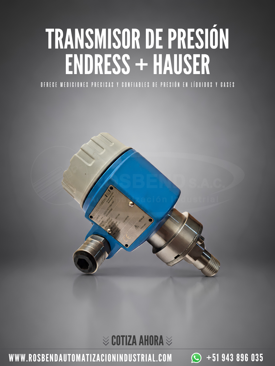 Transmisor De Presión Endress + Hauser