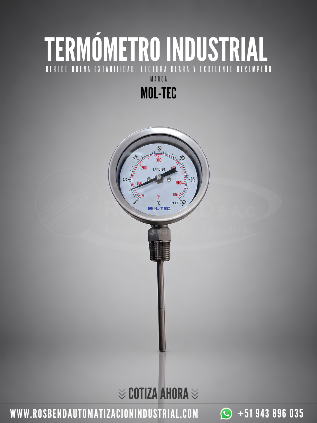 Termómetro Industrial Mol Tec