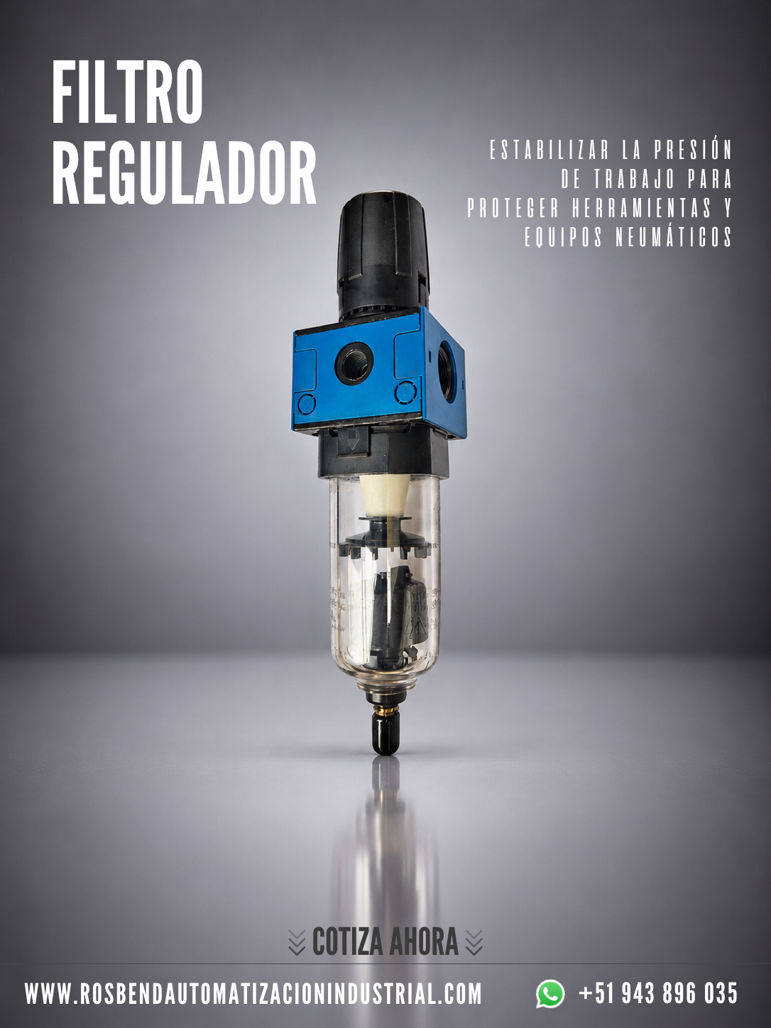Filtro Regulador AZ